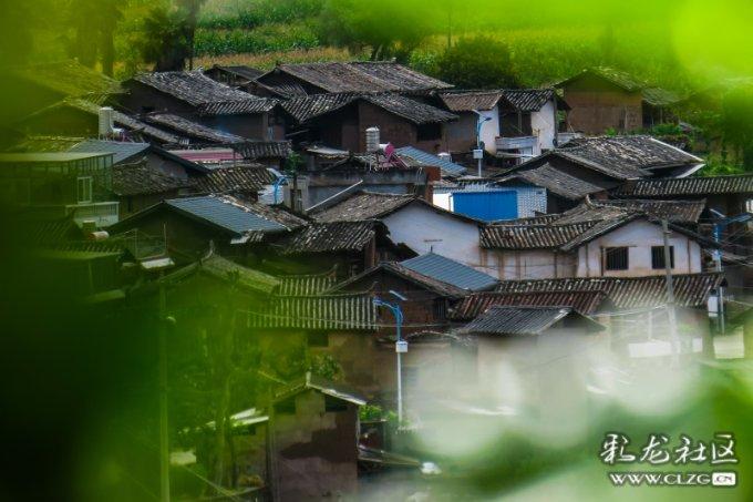 中午该做什么饭啊游戏画面