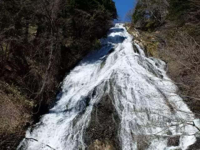 狂野的飙客无敌版